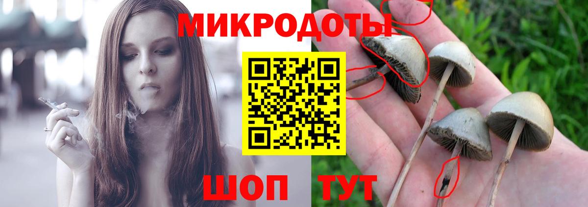 Псилоцибиновые грибы прущие грибы  Вход с VPN  Серпухов 